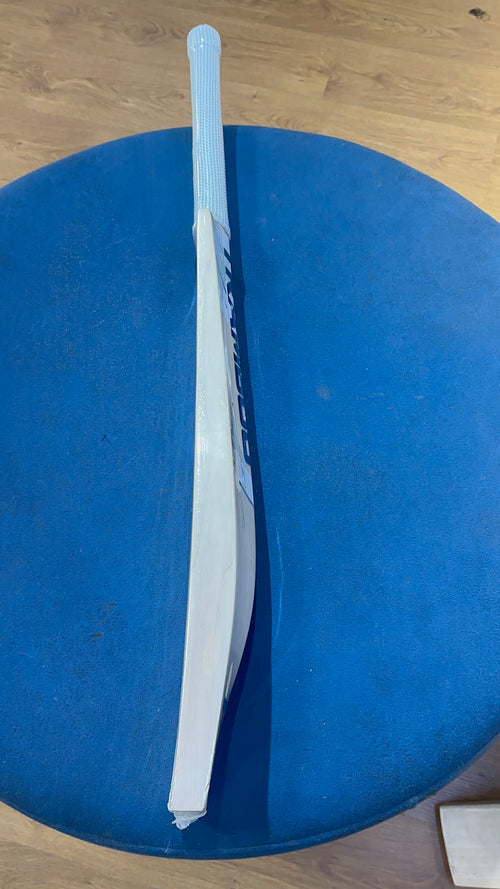 Tramboo Grade 3 English willow bat