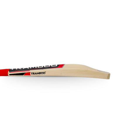 Sigma T20 Power Hitting Leather Bat