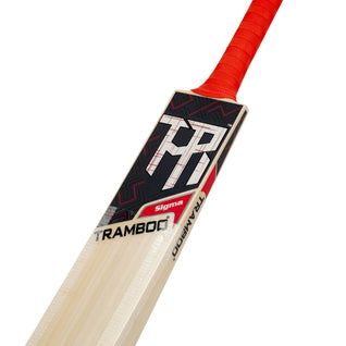 Sigma T20 Power Hitting Leather Bat