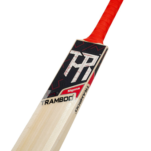 Sigma T20 Power Hitting Leather Bat