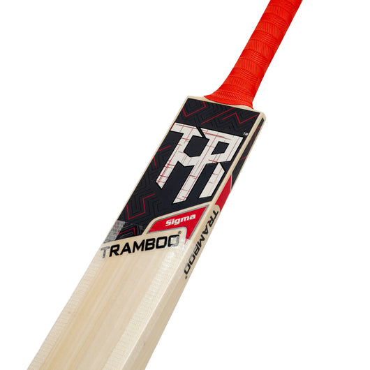 Sigma T20 Power Hitting Leather Bat