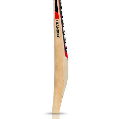 Sigma T20 Power Hitting Leather Bat