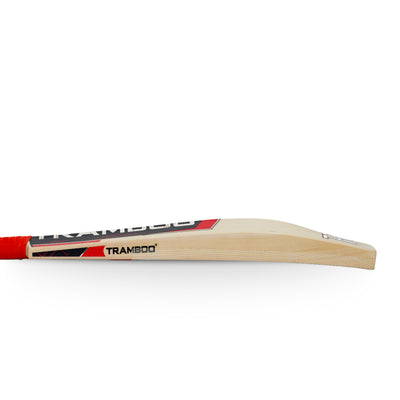 Sigma T20 Power Hitting Leather Bat