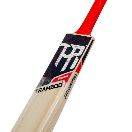 Sigma T20 Power Hitting Leather Bat