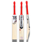 AN-21 Auqib Nabi Edition Leather Bat (Player's Profile)