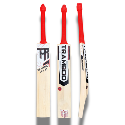 AN-21 Auqib Nabi Edition Leather Bat (Player's Profile)