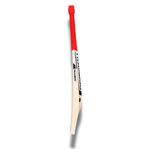 AN-21 Auqib Nabi Edition Leather Bat (Player's Profile)