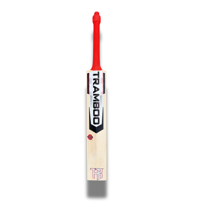 AN-21 Auqib Nabi Edition Leather Bat (Player's Profile)