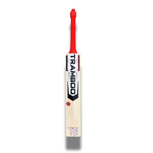AN-21 Auqib Nabi Edition Leather Bat (Player's Profile)
