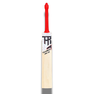 AN-21 Auqib Nabi Edition Leather Bat (Player's Profile)