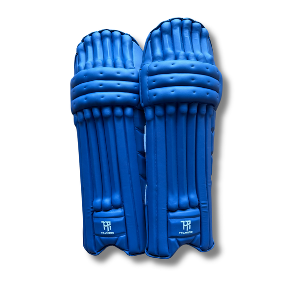 Alpine Batting Pads (Blue)