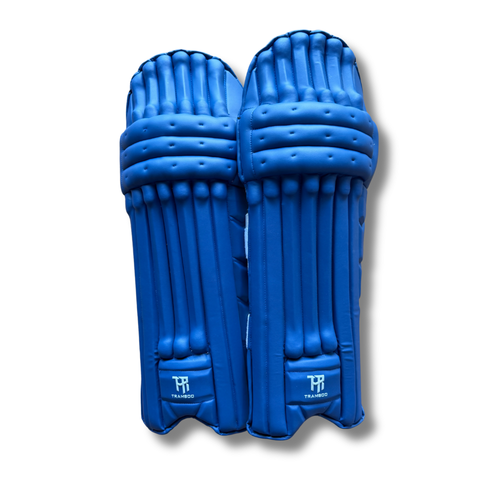 Alpine Batting Pads (India Blue)