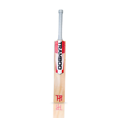Sigma T20 Edition Leather Bat