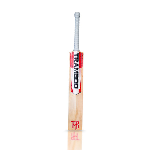 Sigma T20 Edition Leather Bat