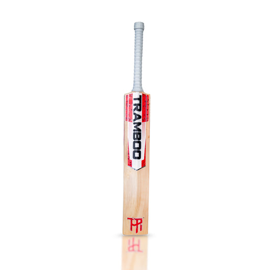 Sigma T20 Edition Leather Bat