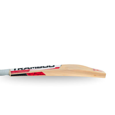 Sigma T20 Edition Leather Bat