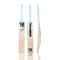 Tramboo Player's Edition English Willow Bat