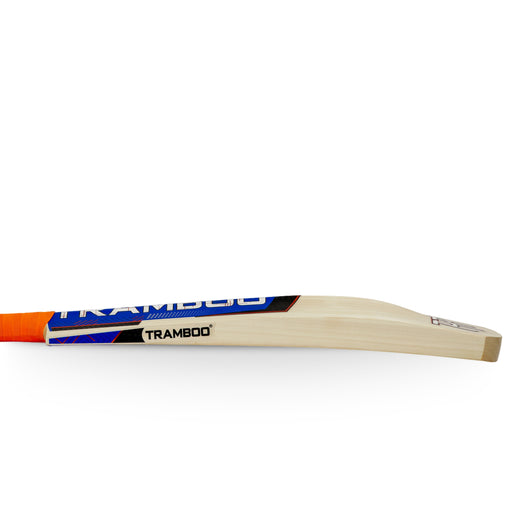 Alpine Edition Leather Bat