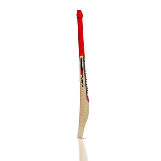 Sigma T20 Power Hitting Leather Bat