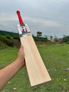 Legend Edition - Premium Kashmir Willow Season Ball Bat