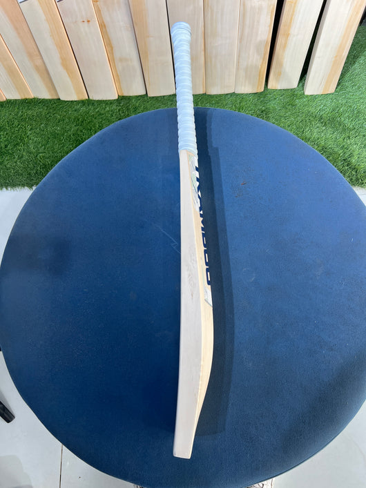 Tramboo Grade 1 English Willow Bat (1220 Grams)