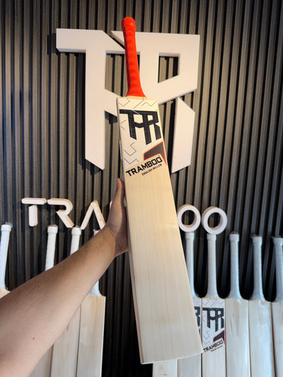 #EW23 Grade 3 English Willow Bat (Players Profile, 1220 Grams, Round Handle)