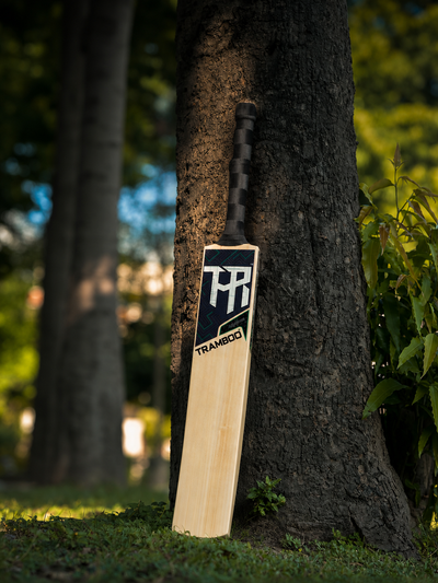 Alpine Edition Leather Bat