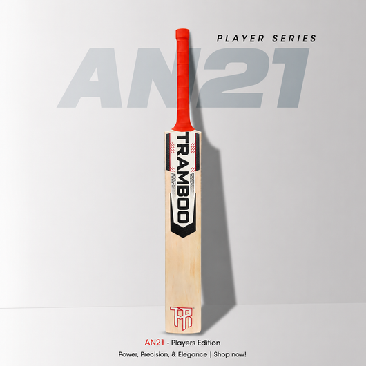 AN-21 Player's Profile Leather Bat