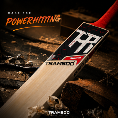 Sigma T20 Power Hitting Leather Bat