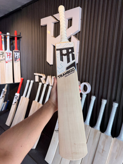 #EW20 Grade 3 English Willow Bat (Hardik Pandya Profile, 1200 Grams, Round Handle)