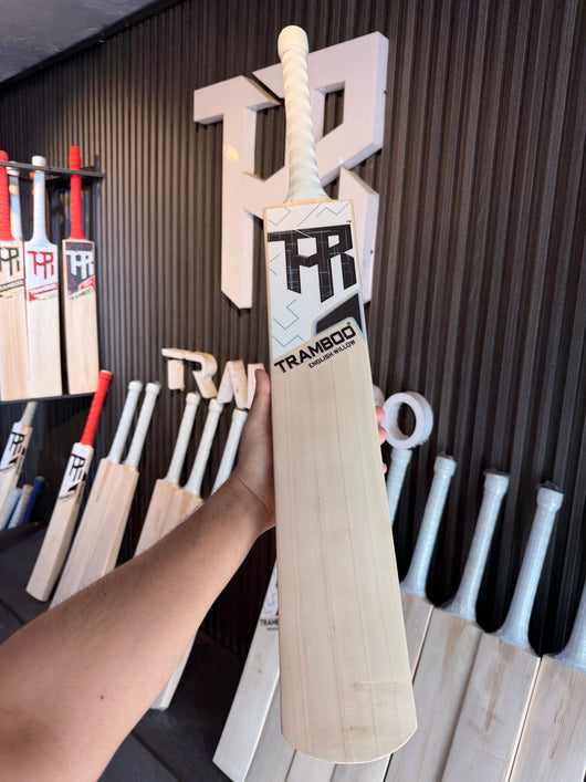 #EW20 Grade 3 English Willow Bat (Hardik Pandya Profile, 1200 Grams, Round Handle)