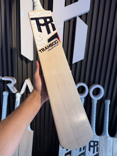 #EW20 Grade 3 English Willow Bat (Hardik Pandya Profile, 1200 Grams, Round Handle)
