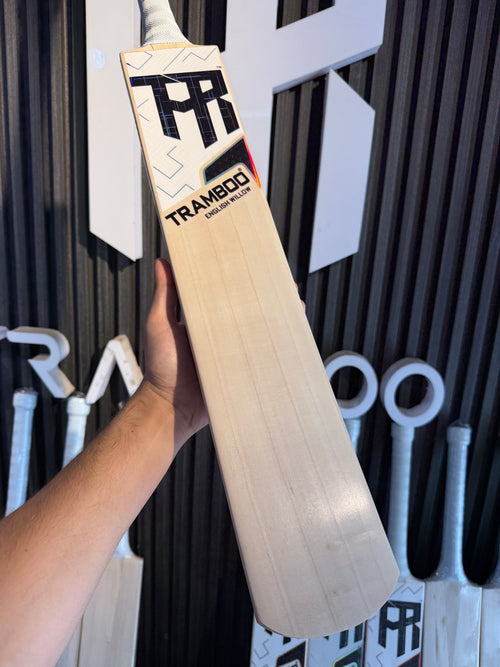 #EW20 Grade 3 English Willow Bat (Hardik Pandya Profile, 1200 Grams, Round Handle)