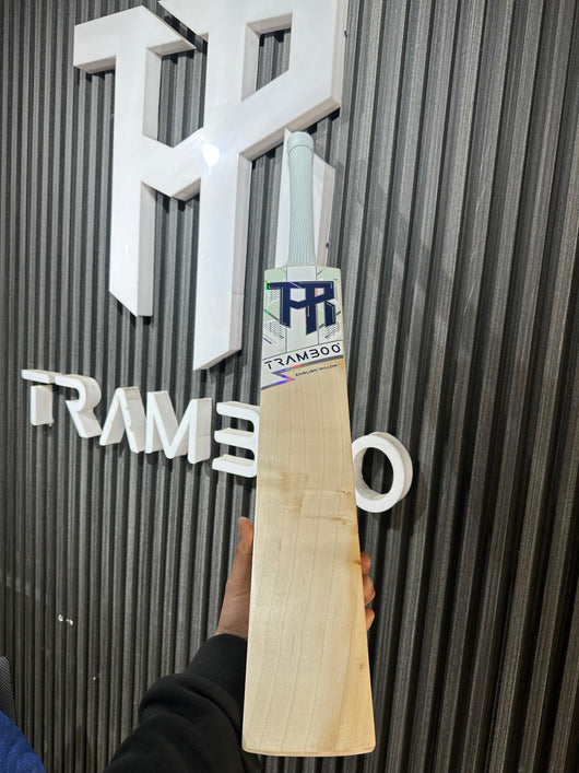 Tramboo Grade 2 English Willow (Harrow Size)