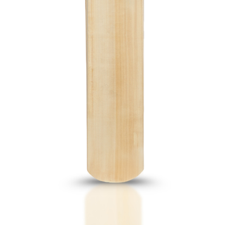 Sigma T20 Power Hitting Leather Bat