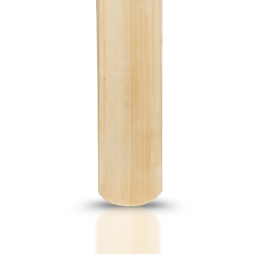 Sigma T20 Power Hitting Leather Bat