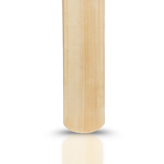 Sigma T20 Power Hitting Leather Bat