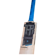 Hard Tennis Scoop Bat (Double Blade)- Classic